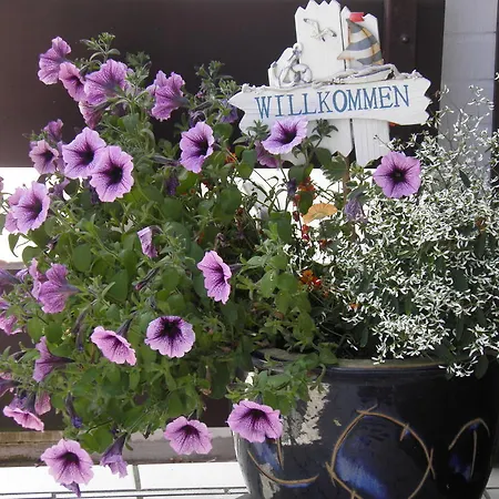 דירה Kanew Petersdorf auf Fehmarn