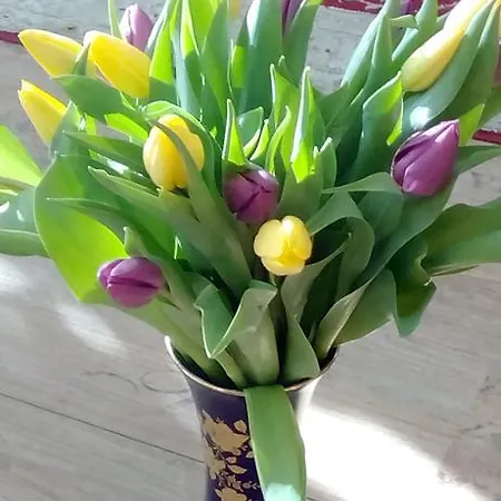 Kanew Petersdorf auf Fehmarn